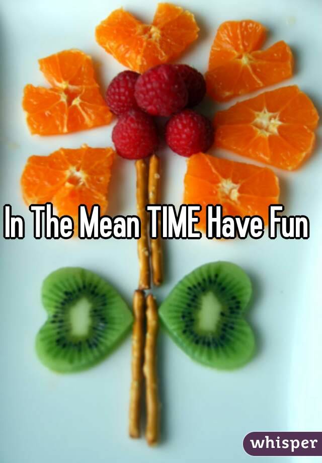 in-the-mean-time-have-fun