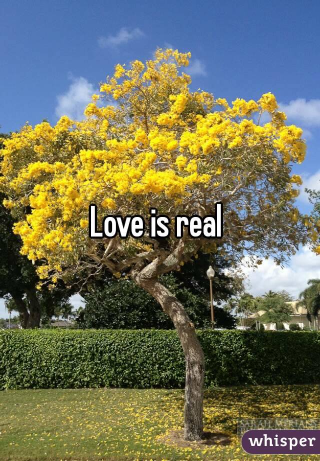 Love is real 