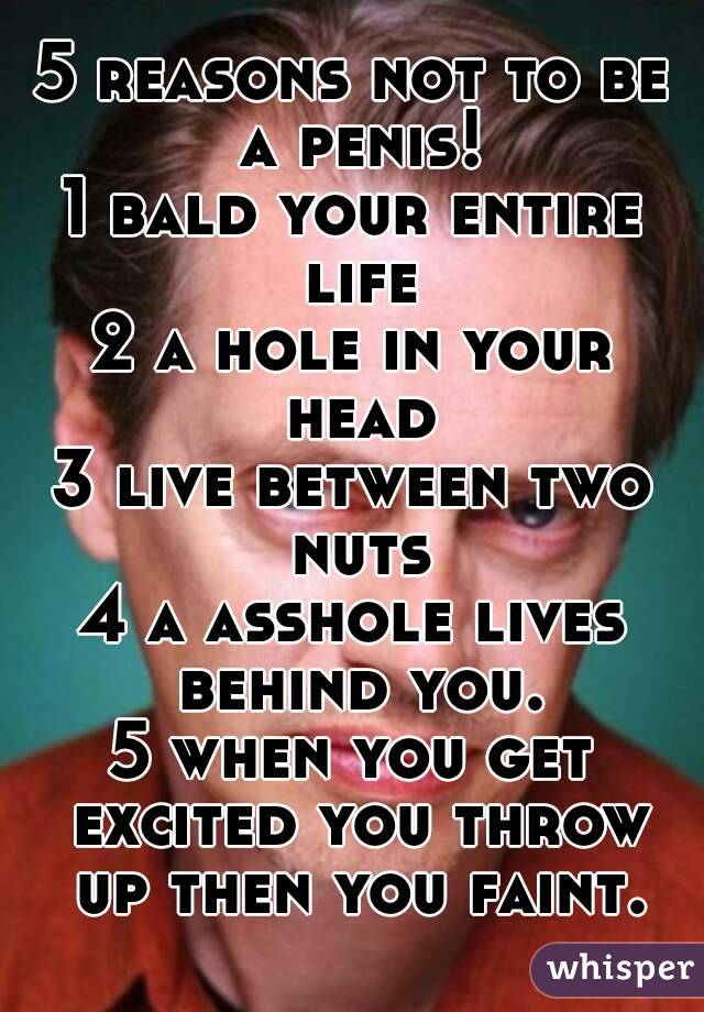 5 reasons not to be a penis!
1 bald your entire life
2 a hole in your head
3 live between two nuts
4 a asshole lives behind you.
5 when you get excited you throw up then you faint.