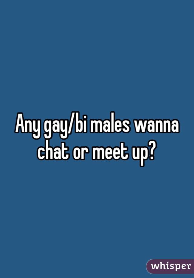 Any gay/bi males wanna chat or meet up?