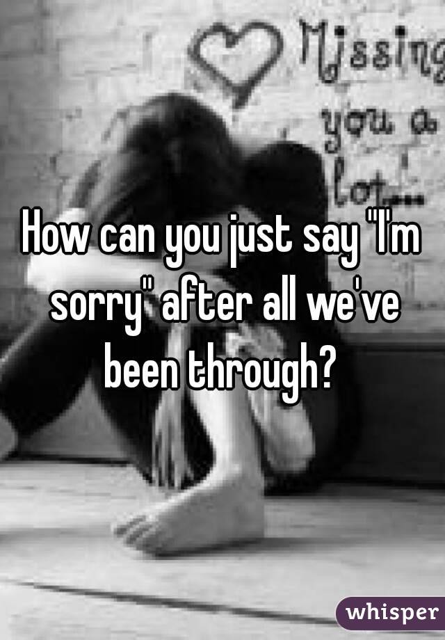 How can you just say "I'm sorry" after all we've been through? 