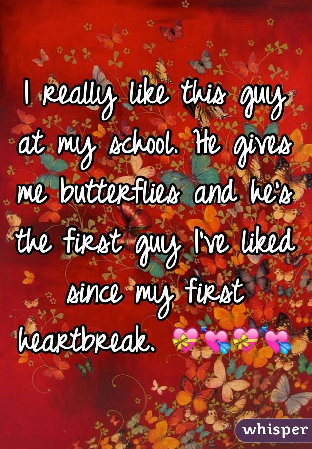 I really like this guy at my school. He gives me butterflies and he's the first guy I've liked since my first heartbreak. 💝💘💝💘