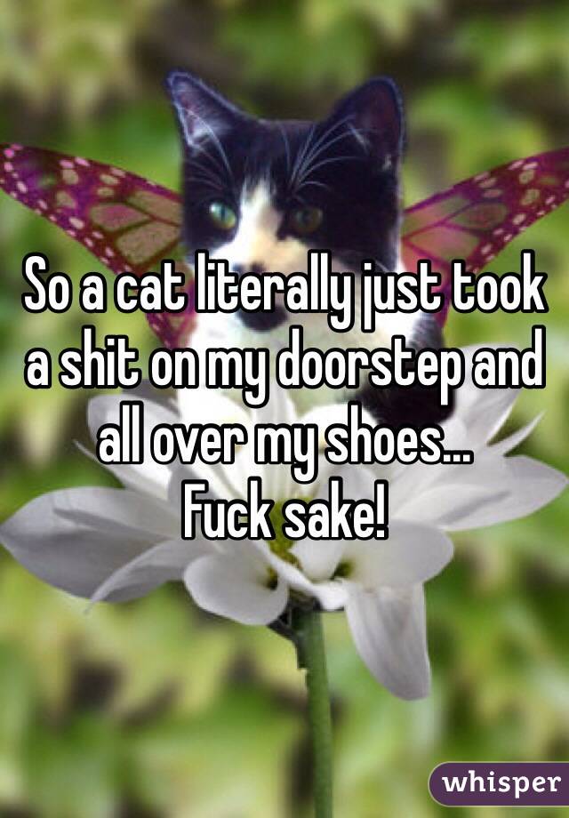 So a cat literally just took a shit on my doorstep and all over my shoes... 
Fuck sake!