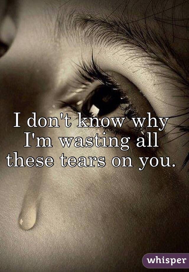 I don't know why I'm wasting all these tears on you.