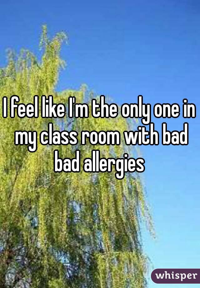 I feel like I'm the only one in my class room with bad bad allergies 