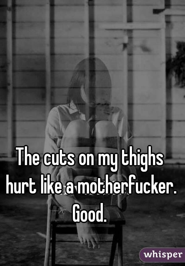 The cuts on my thighs hurt like a motherfucker.
Good.