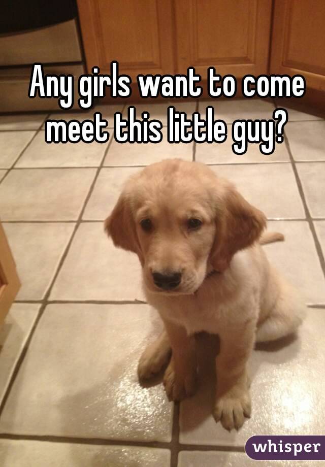 Any girls want to come meet this little guy? 