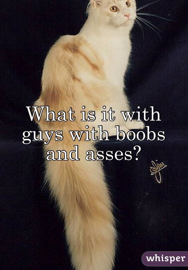 What is it with guys with boobs and asses?