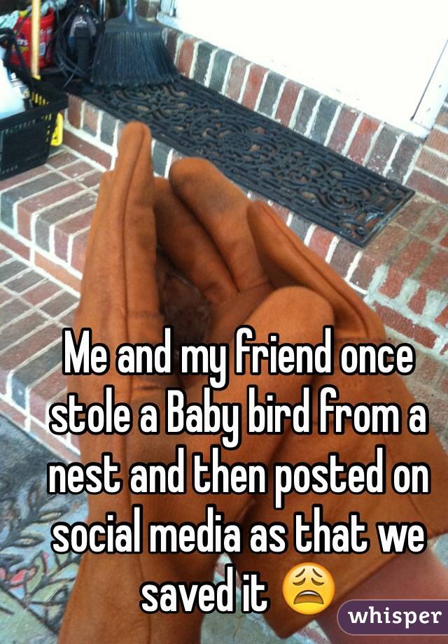 Me and my friend once stole a Baby bird from a nest and then posted on social media as that we saved it 😩