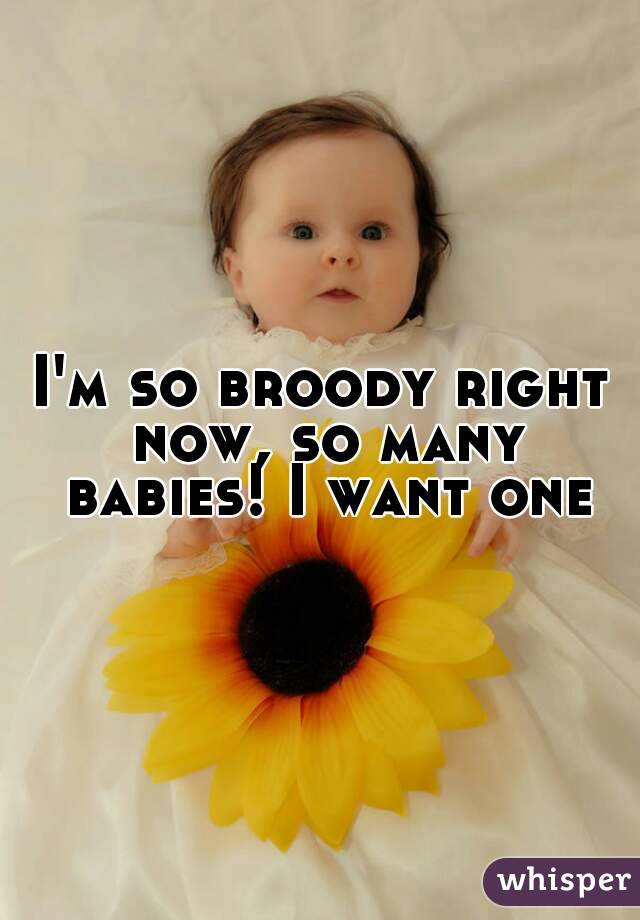 I'm so broody right now, so many babies! I want one