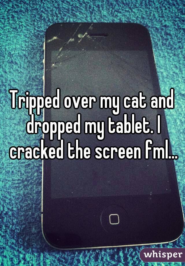 Tripped over my cat and dropped my tablet. I cracked the screen fml...