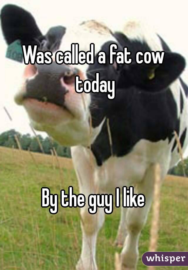 Was called a fat cow today



By the guy I like


