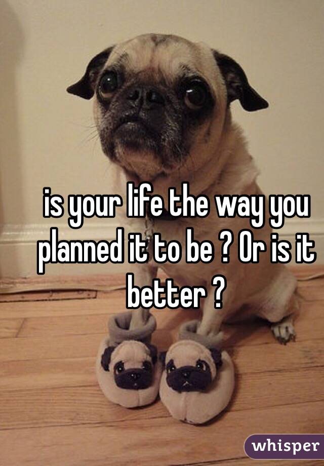 is your life the way you planned it to be ? Or is it better ? 