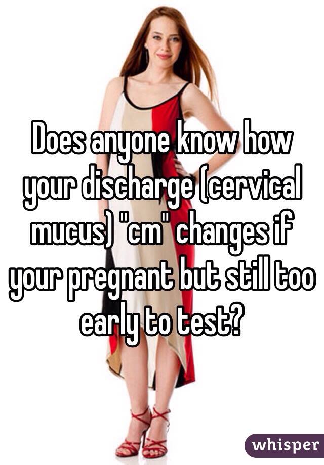 Does anyone know how your discharge (cervical mucus) "cm" changes if your pregnant but still too early to test?