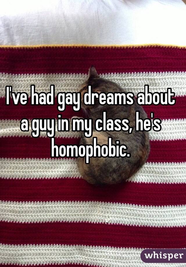 I've had gay dreams about a guy in my class, he's homophobic.