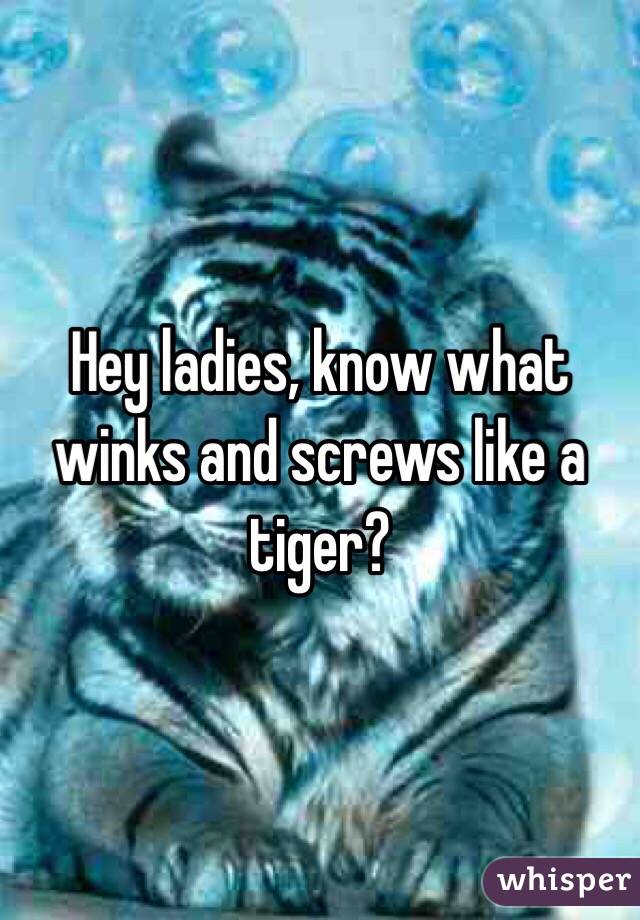 Hey ladies, know what winks and screws like a tiger?