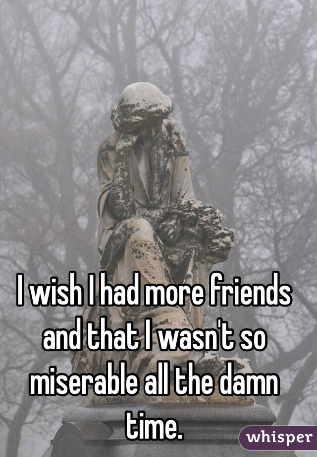 I wish I had more friends and that I wasn't so miserable all the damn time. 