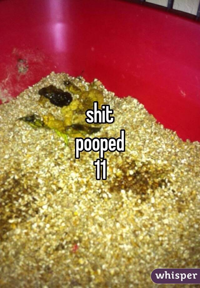 shit
pooped
11