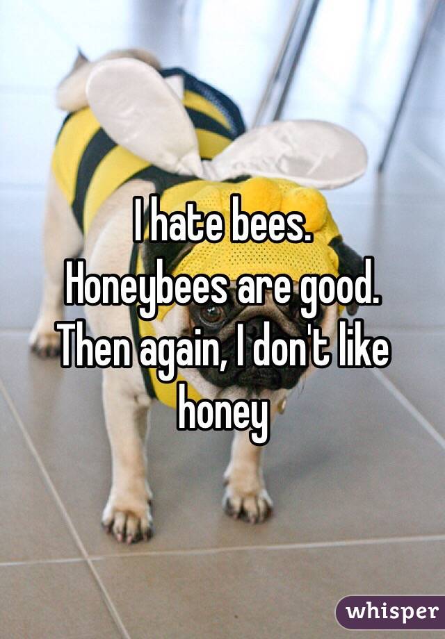 I hate bees.
Honeybees are good.
Then again, I don't like honey