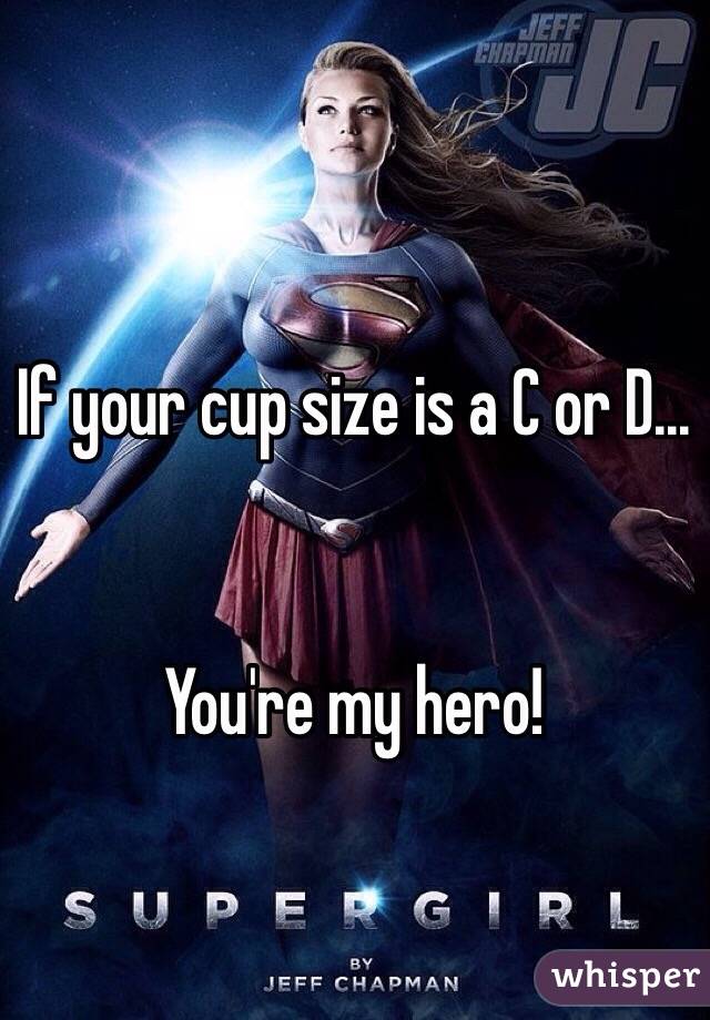 If your cup size is a C or D...


You're my hero!