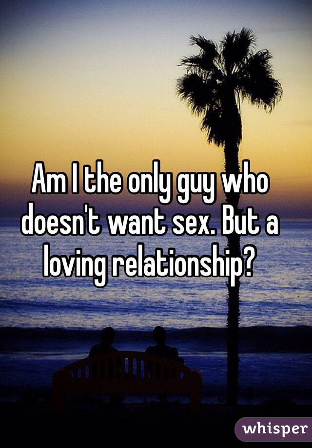 Am I the only guy who doesn't want sex. But a loving relationship? 