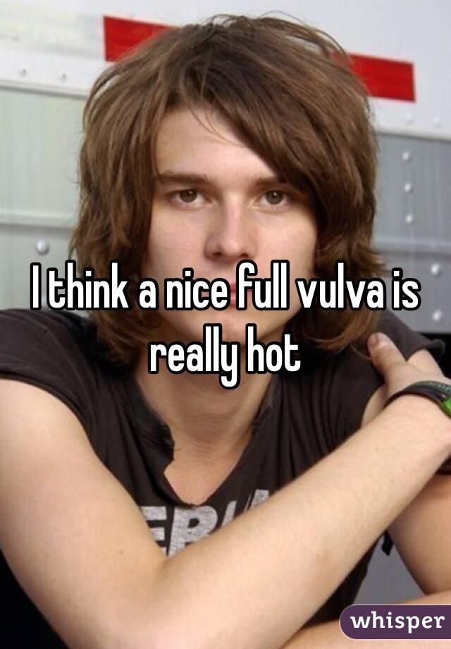 I think a nice full vulva is really hot 