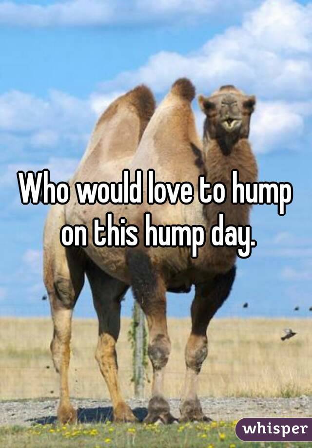 Who would love to hump on this hump day.
