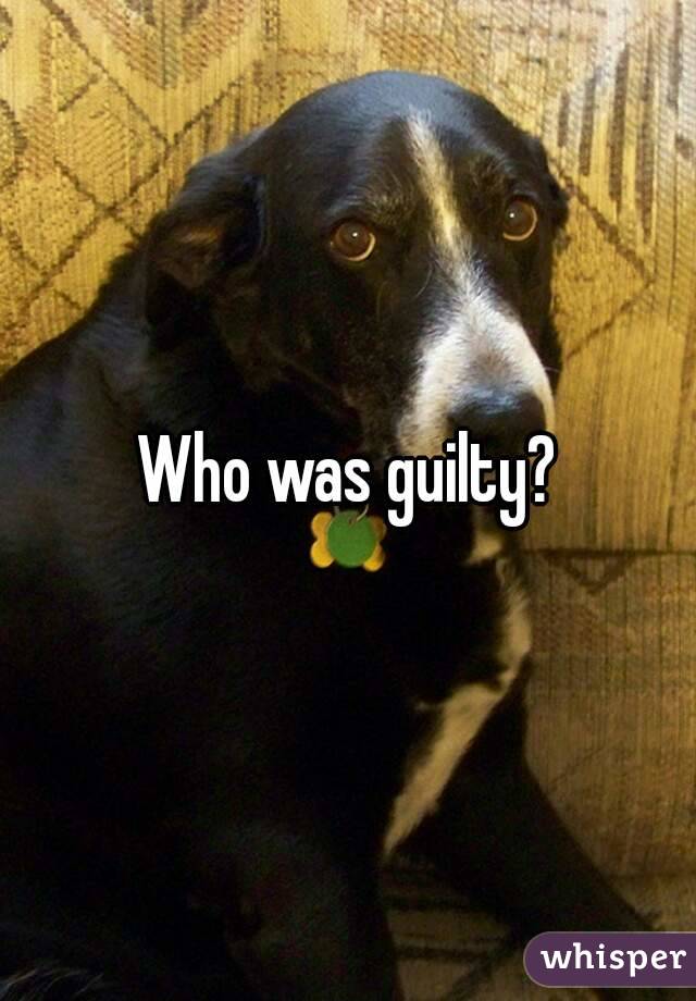 Who was guilty?