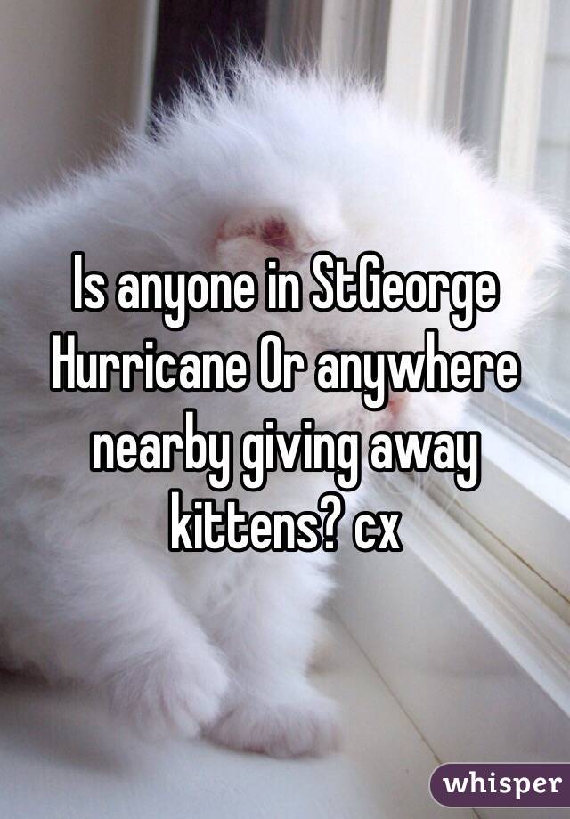 Is anyone in StGeorge Hurricane Or anywhere nearby giving away kittens? cx