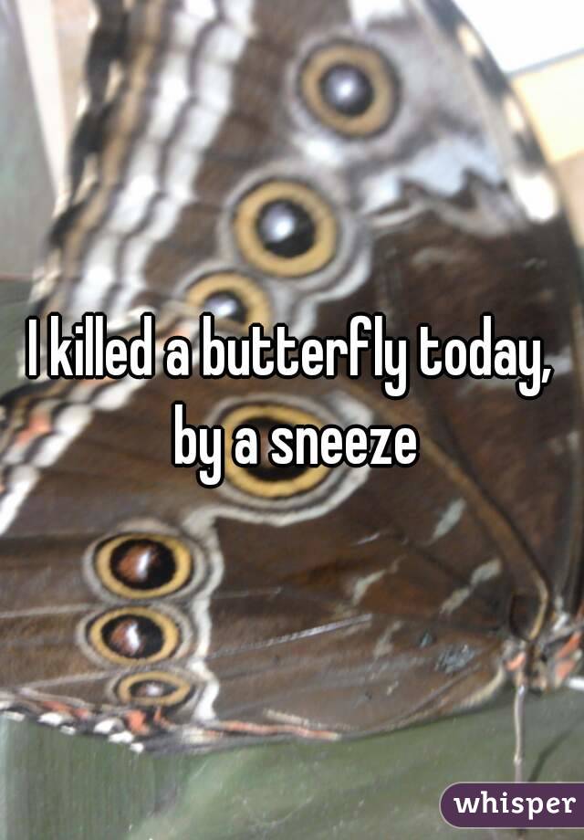 I killed a butterfly today, by a sneeze