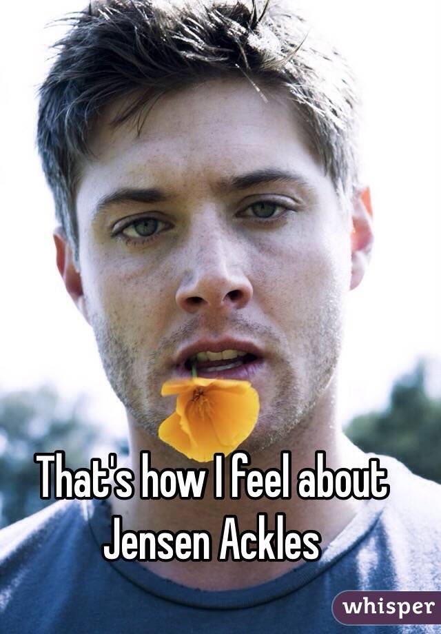 That's how I feel about Jensen Ackles 