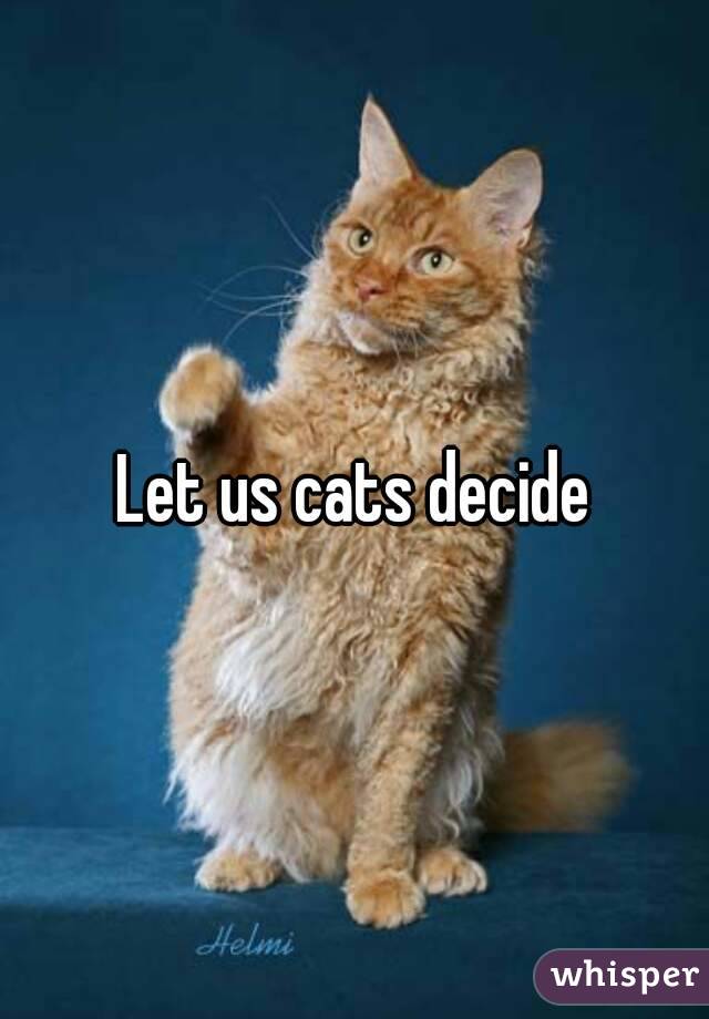 Let us cats decide