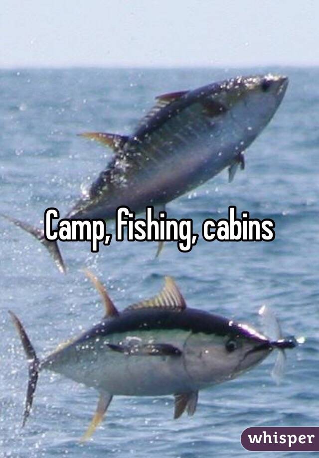 Camp, fishing, cabins 