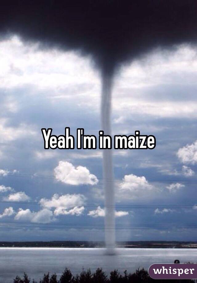 Yeah I'm in maize