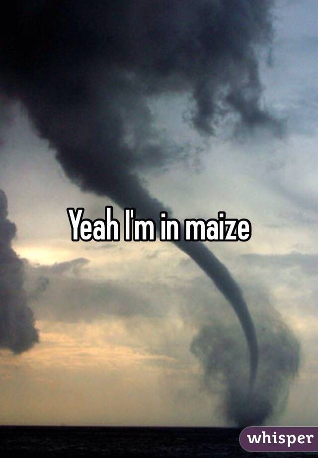 Yeah I'm in maize