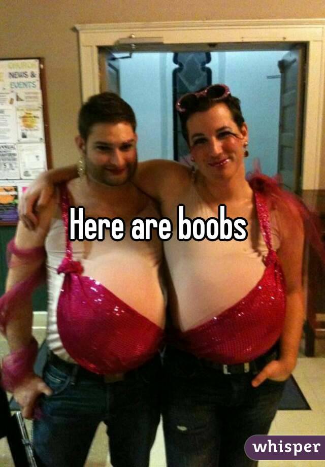 Here are boobs 