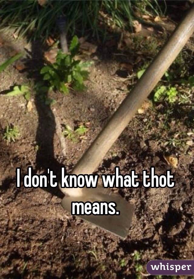 I don't know what thot means. 