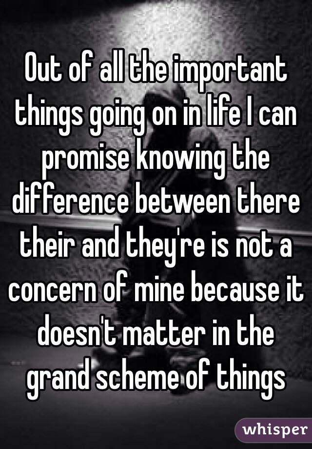 Out of all the important things going on in life I can promise knowing the difference between there their and they're is not a concern of mine because it doesn't matter in the grand scheme of things 