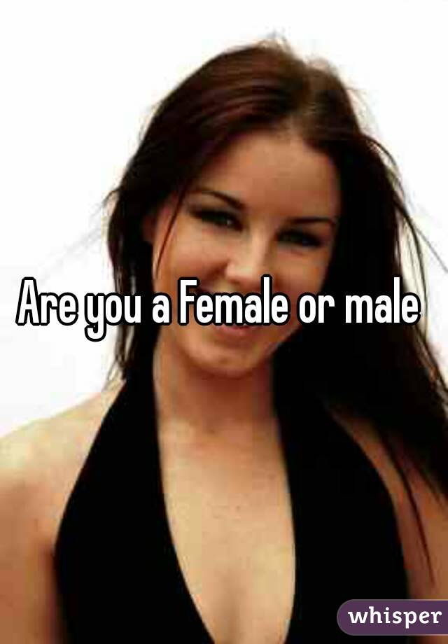 Are you a Female or male 