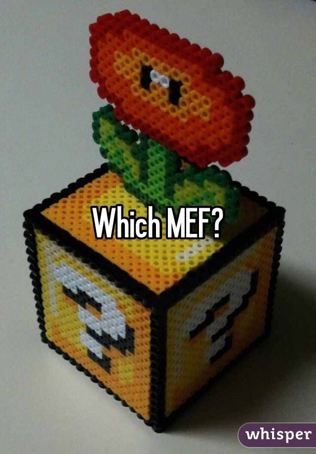 Which MEF?