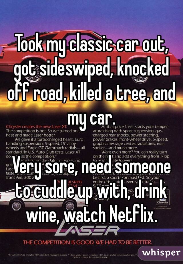Took my classic car out, got sideswiped, knocked off road, killed a tree, and my car. 

Very sore, need someone to cuddle up with, drink wine, watch Netflix. 