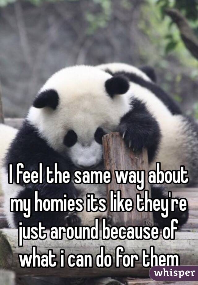 I feel the same way about my homies its like they're  just around because of what i can do for them 