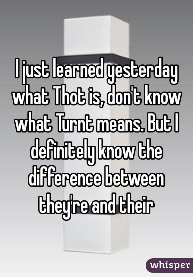 I just learned yesterday what Thot is, don't know what Turnt means. But I definitely know the difference between they're and their 