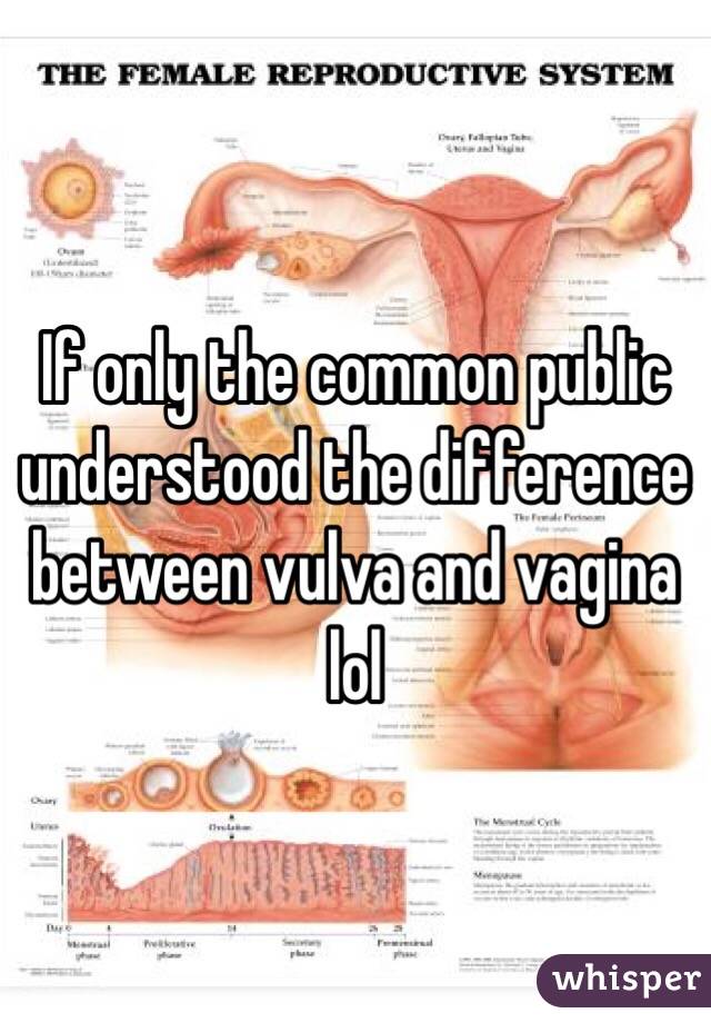 If only the common public understood the difference between vulva and vagina lol