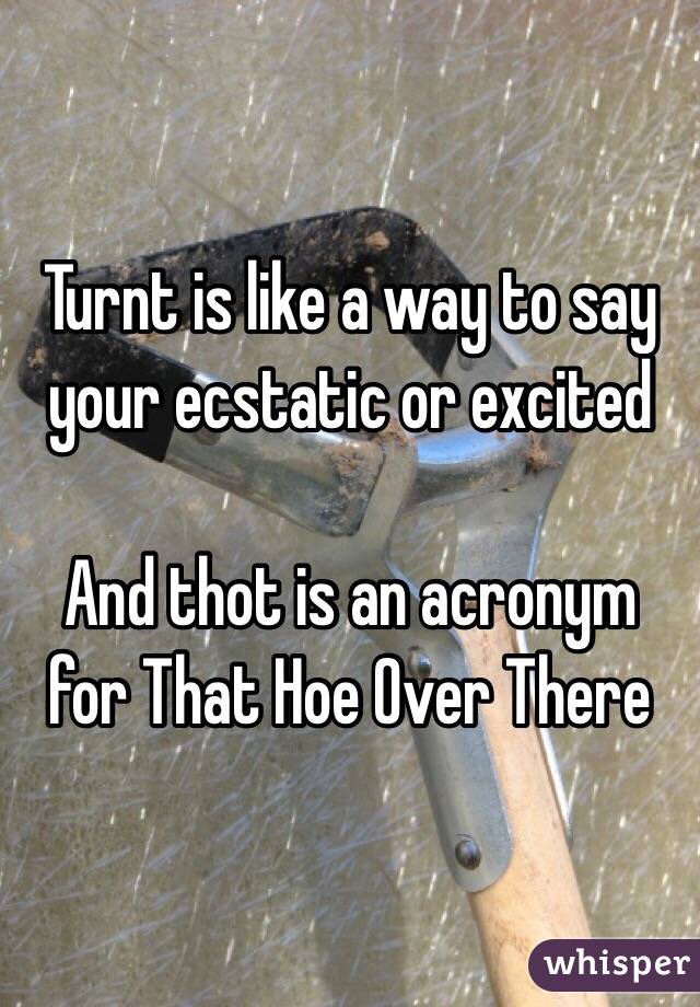 Turnt is like a way to say your ecstatic or excited 

And thot is an acronym for That Hoe Over There