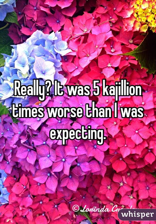Really? It was 5 kajillion times worse than I was expecting.