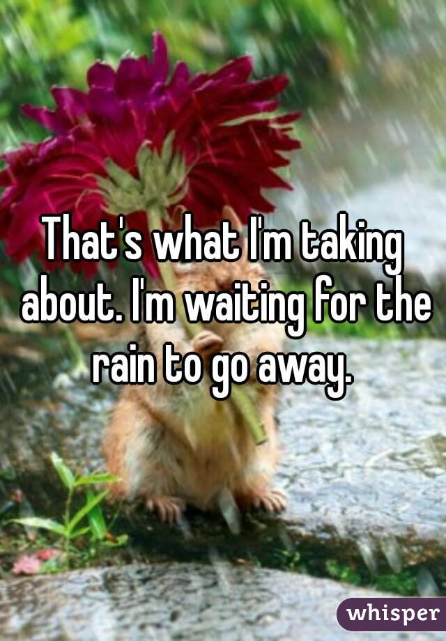 That's what I'm taking about. I'm waiting for the rain to go away. 