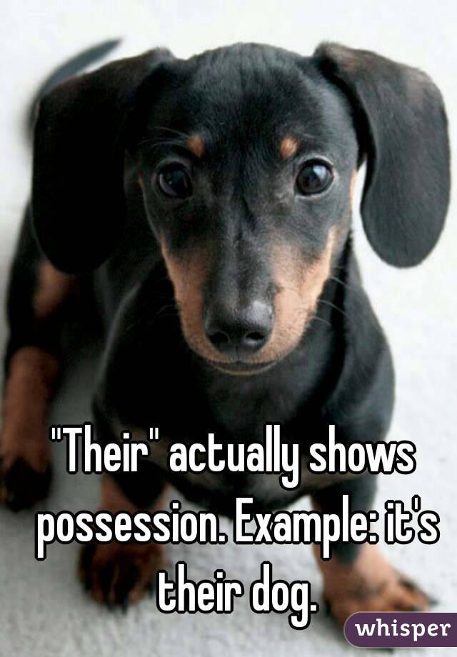 "Their" actually shows possession. Example: it's their dog.