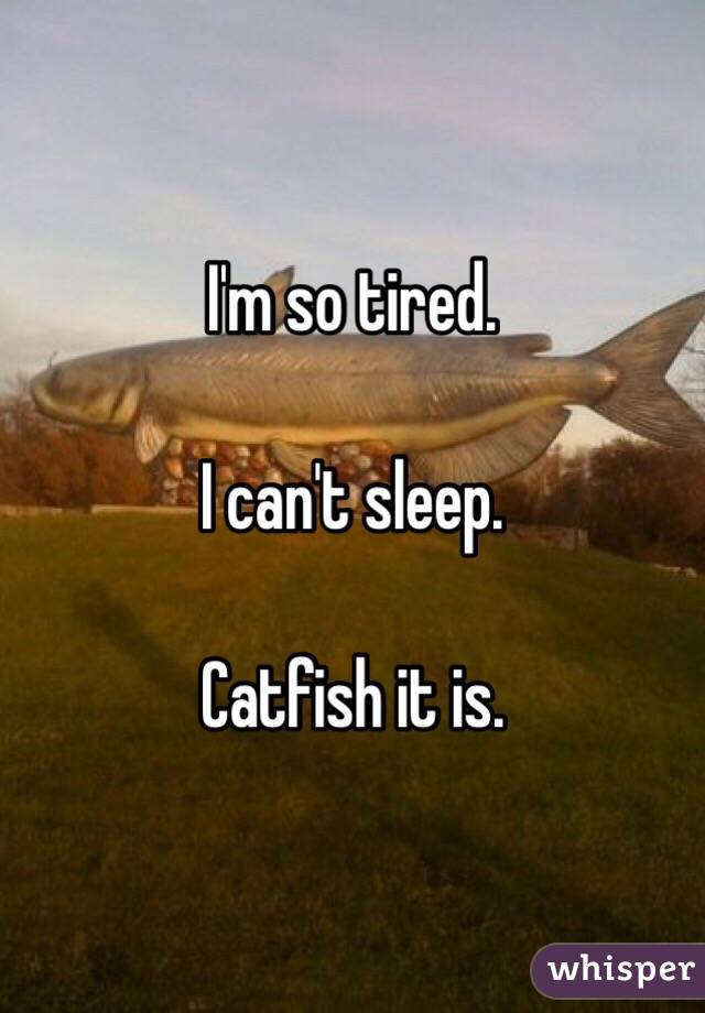 I'm so tired. 

I can't sleep. 

Catfish it is. 