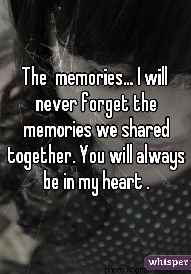 The  memories... I will never forget the memories we shared together. You will always be in my heart .